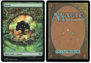 Forest from Tarkir: Dragonstorm Magic the Gathering Proxy