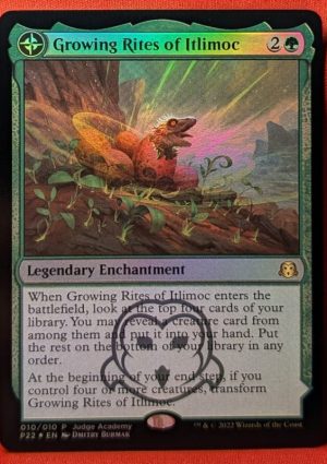 Magic the Gathering Proxy Card MTG Proxy