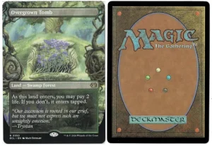 Overgrown Tomb (Borderless) from Lorwyn Eclipsed Magic the Gathering Proxy
